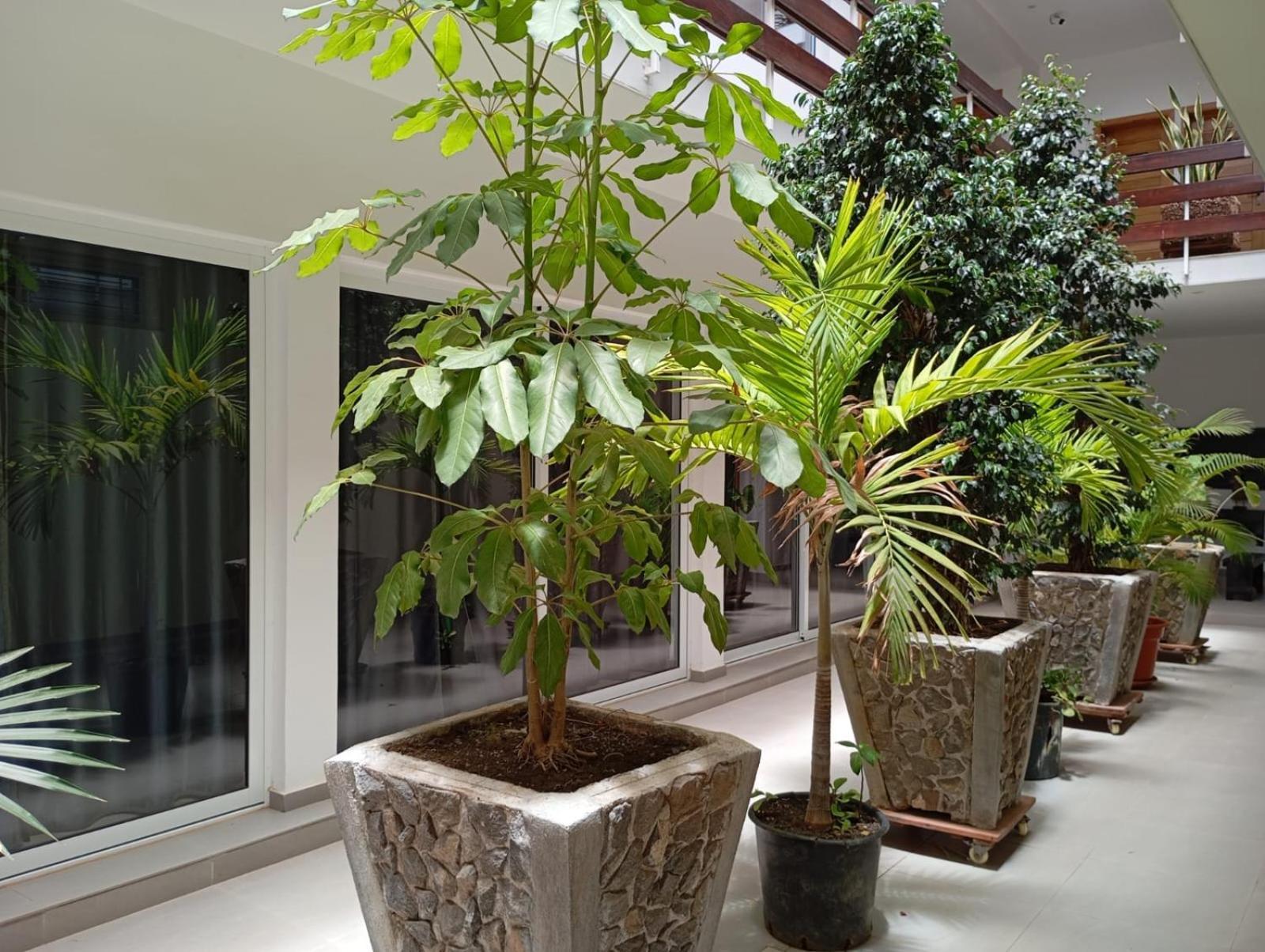 Hotel Viajante Tarrafal  Ngoại thất bức ảnh